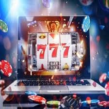 zvy2